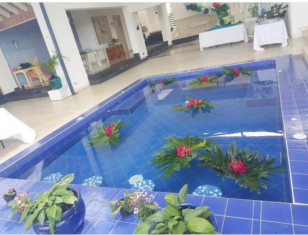 Hotel Casa Natura 페레이라 외부 사진